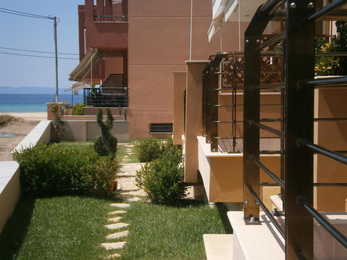 Dafni'S Seaside Luxury Studios Nikiti  Ngoại thất bức ảnh